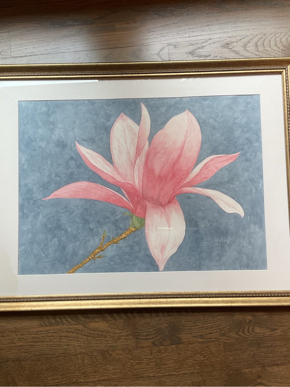 Watercolor Pink Magnolia Floral Artwork by Charles C. Mills